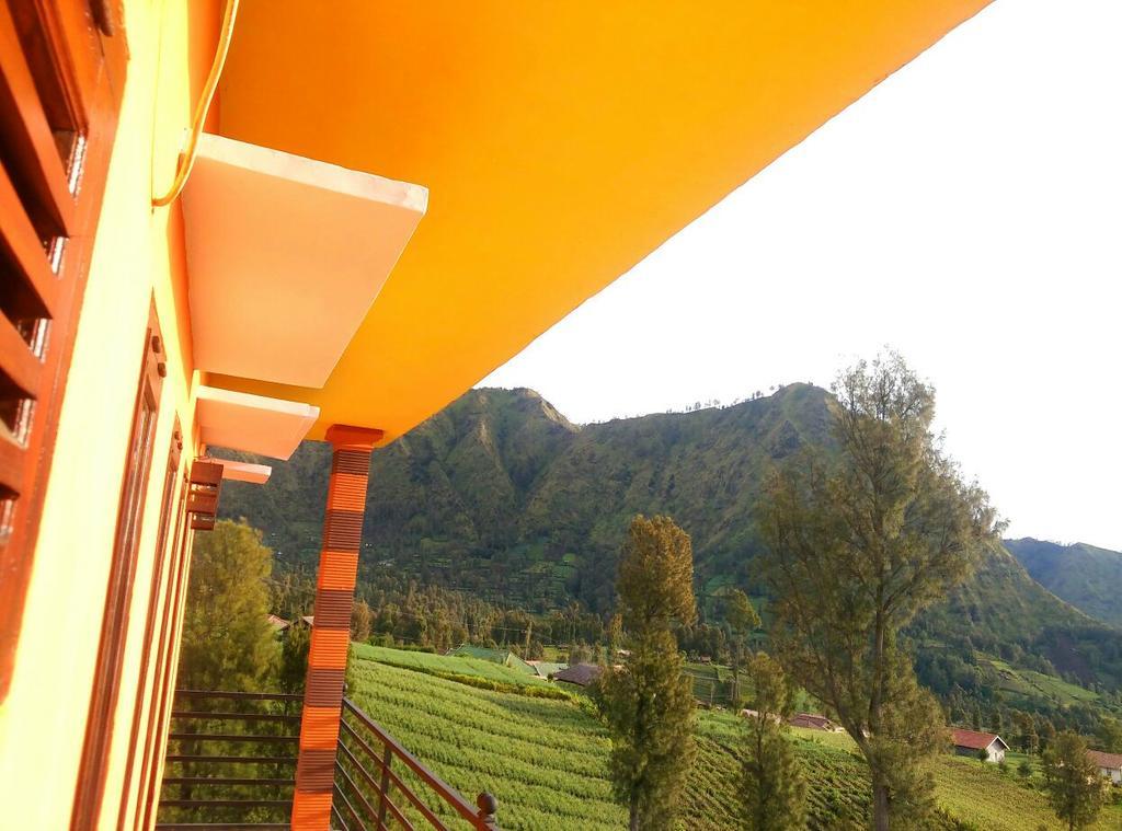 Bromo Otix Guest House المظهر الخارجي الصورة