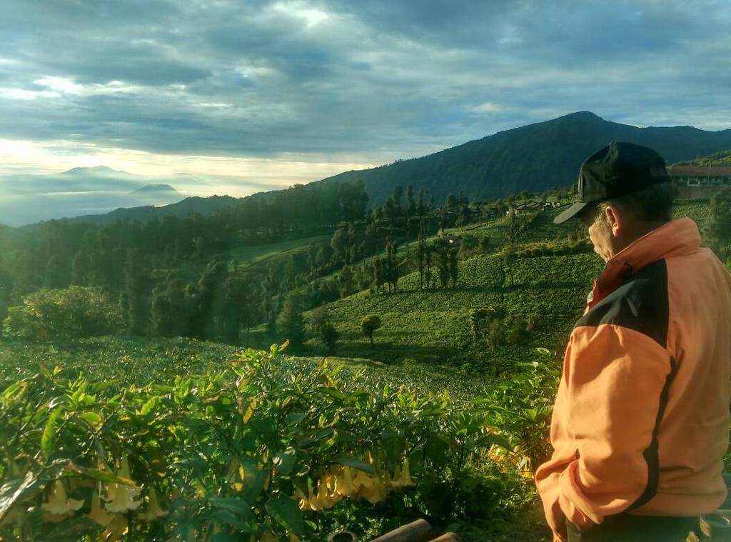 Bromo Otix Guest House المظهر الخارجي الصورة