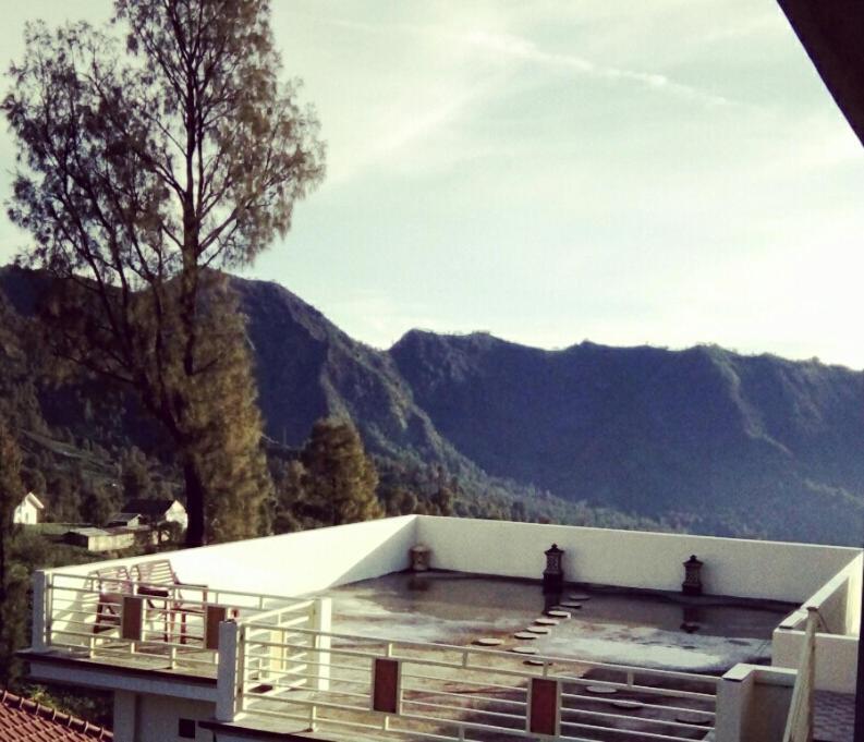 Bromo Otix Guest House المظهر الخارجي الصورة